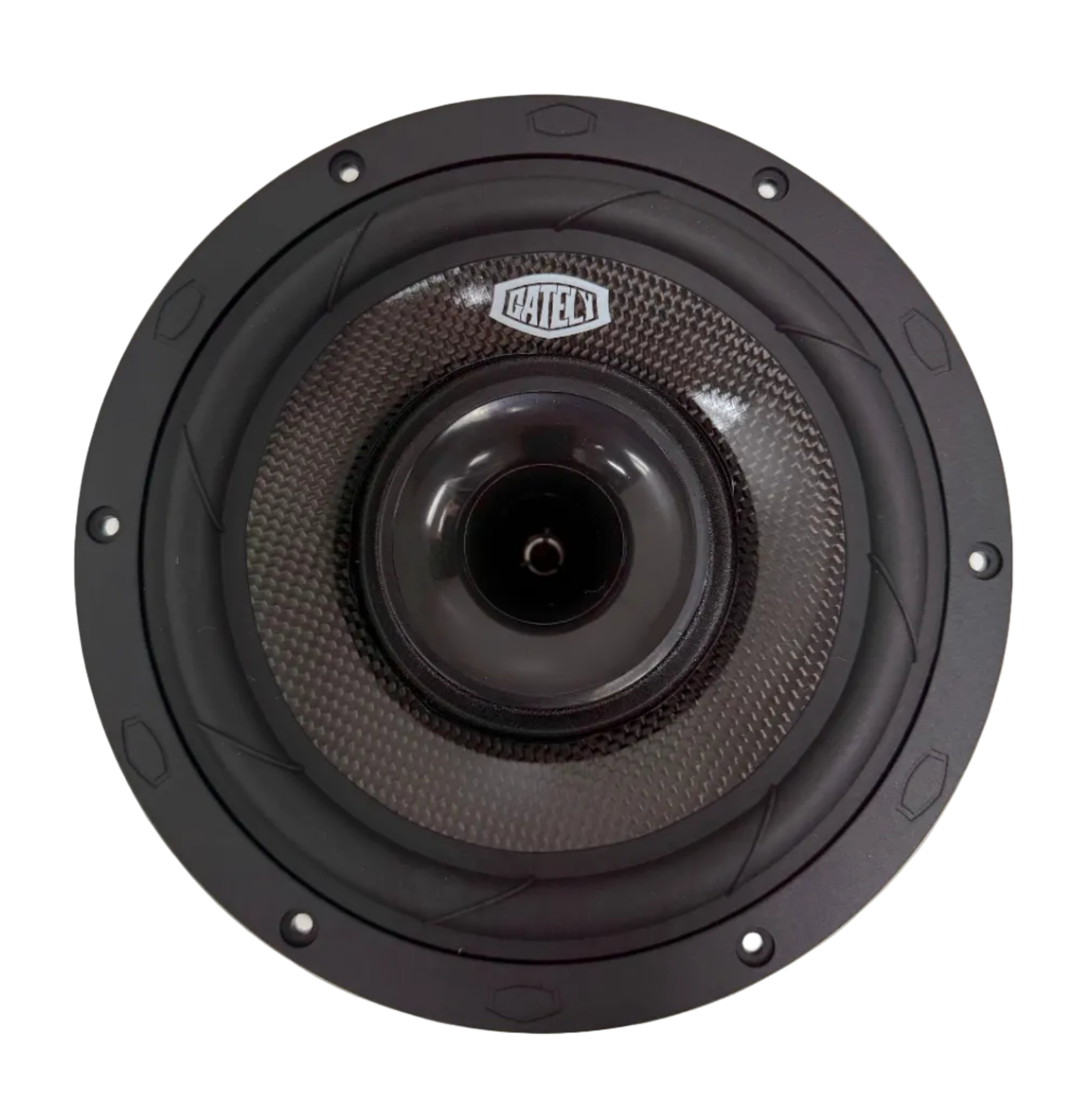 G8H- 2 way Coaxial Horn 8" Speaker (pair)