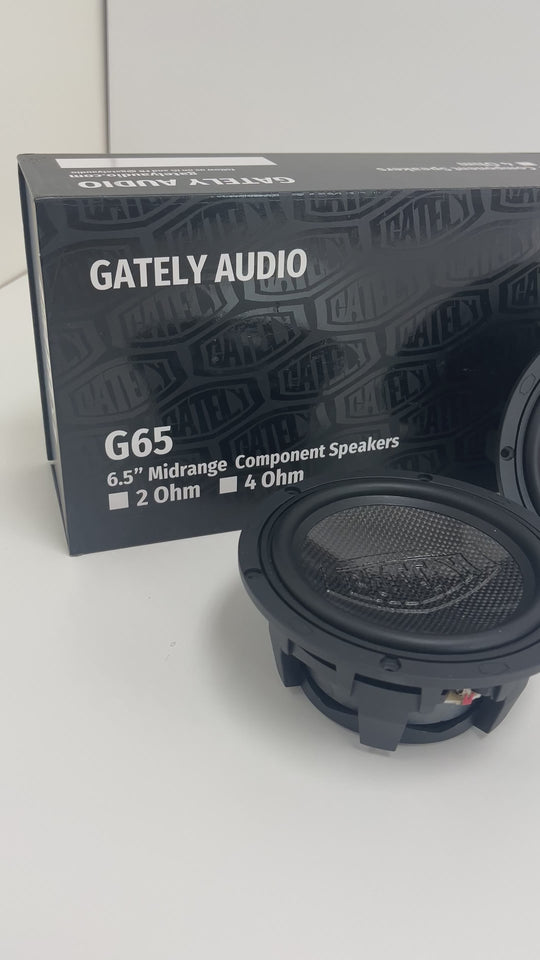 G65- Midrange 6.5" Speaker (pair)