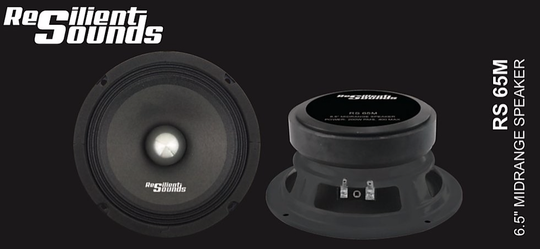 Resilient Sounds RS 65M 200 RMS MIDRANGE SPEAKER